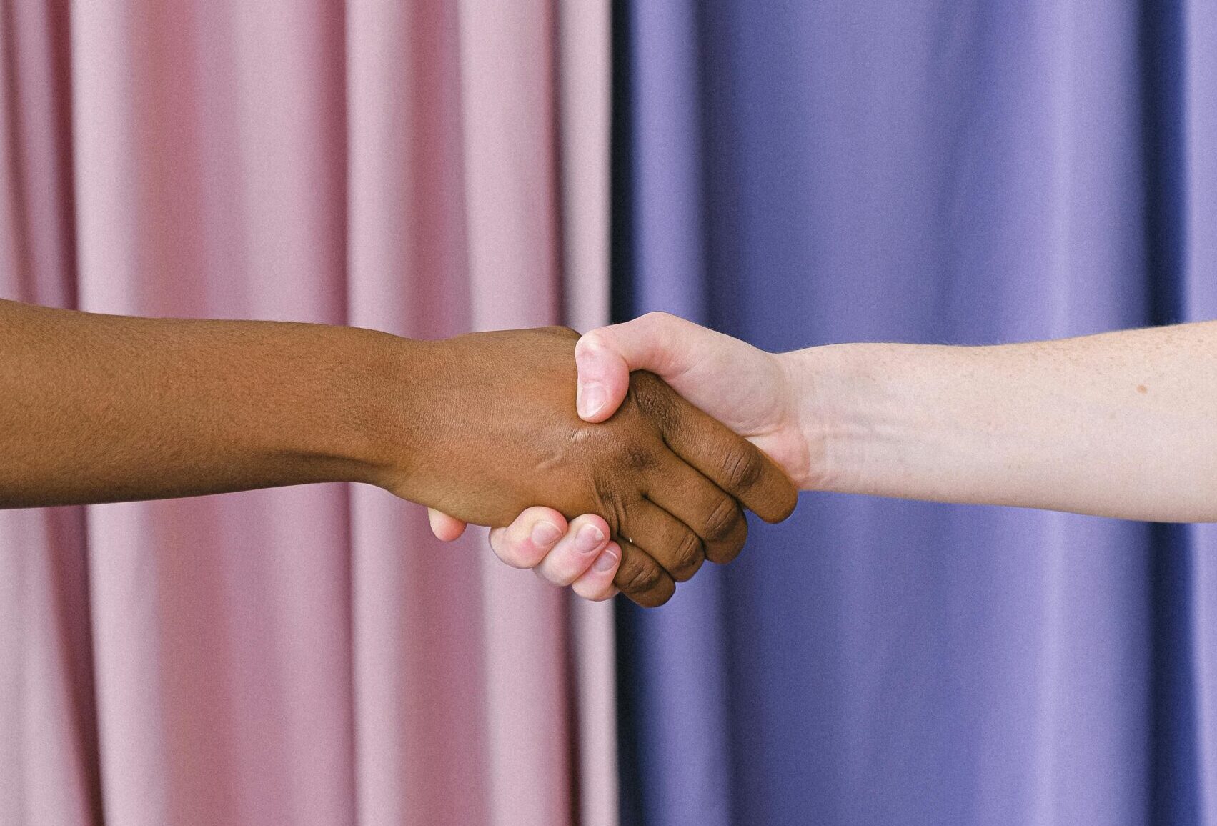 A close-up of an interracial handshake symbolizing unity against pink and blue drapes.
